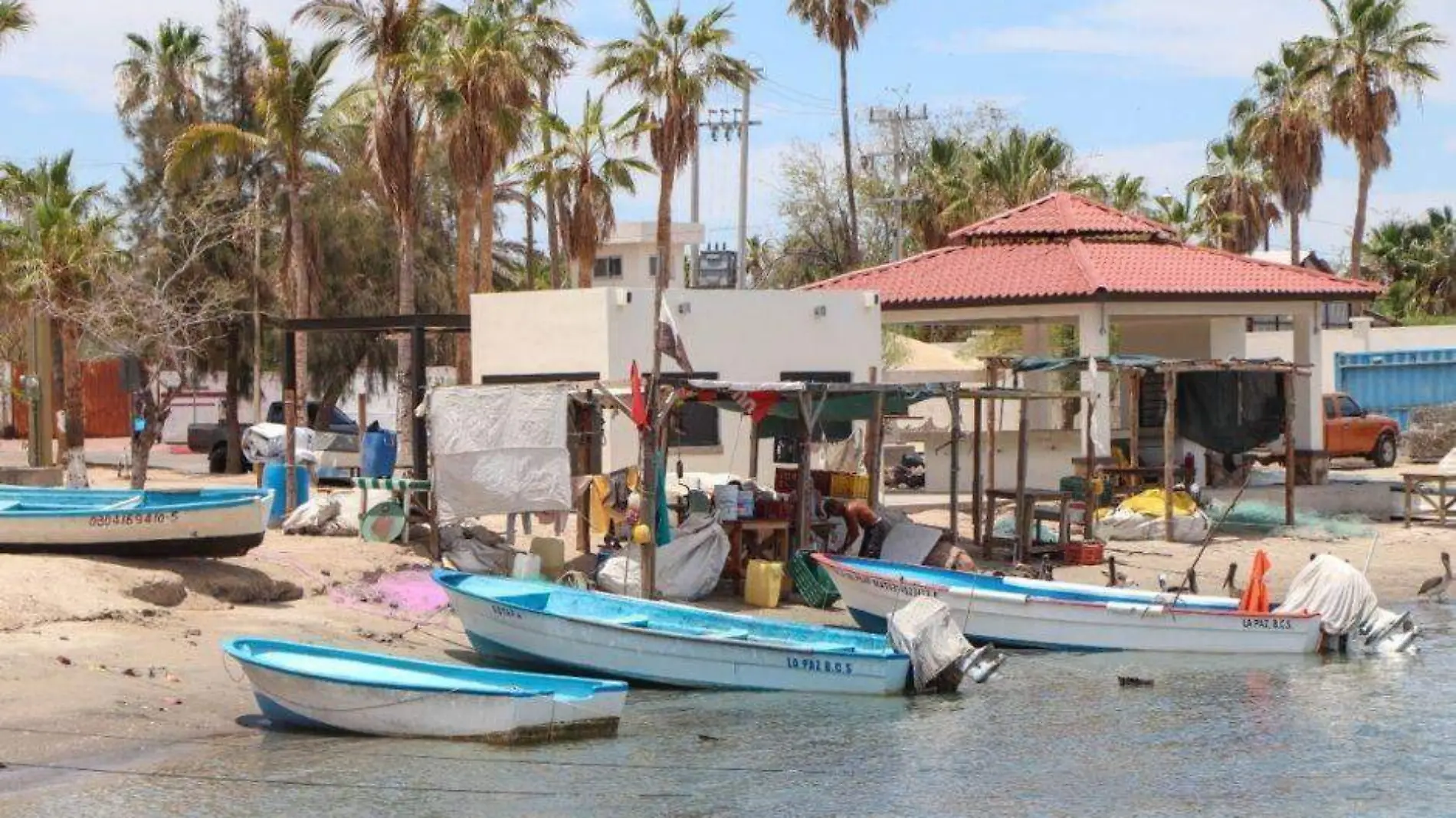 Padron bienpesca pescadores